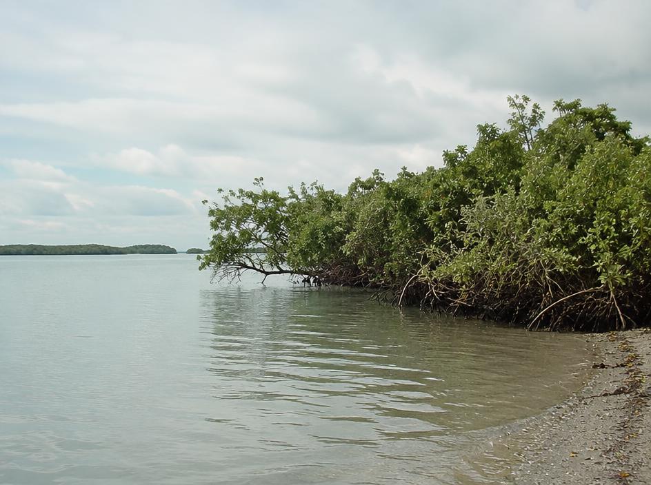 Kilifi
