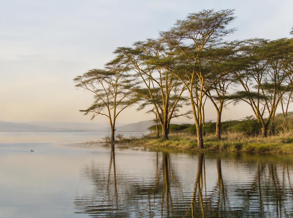 Naivasha